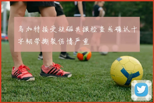 乌加特接受核磁共振检查或确认十字韧带撕裂伤情严重