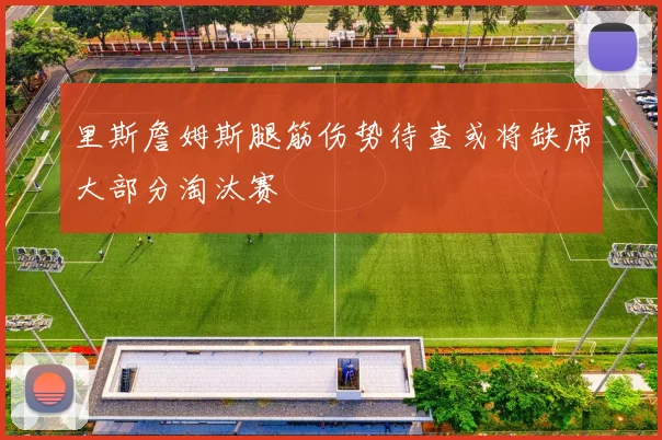 里斯詹姆斯腿筋伤势待查或将缺席大部分淘汰赛