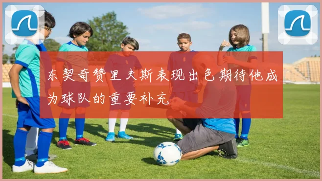 东契奇赞里夫斯表现出色期待他成为球队的重要补充